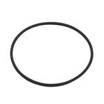 Replacement O-ring (Quick Entry Door)