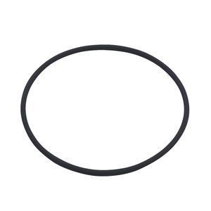 Replacement O-ring (Quick Entry Door)