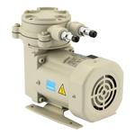 Diaphragm type dry vacuum pump Running pumping speed (15-18L/min)